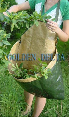 Pruning Bag